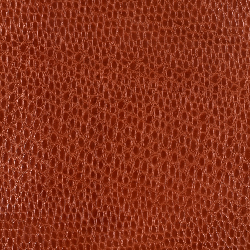 Image Village Y1401 M04 D29 Leather Texture 05