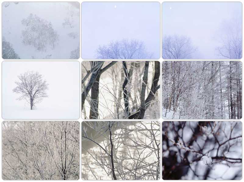 زمستان – هیجدهم خرداد ۱۴۰۳